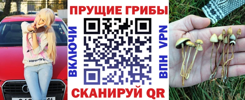 Псилоцибиновые грибы MAGIC MUSHROOMS  закладки  Льгов 