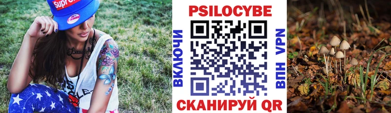 Псилоцибиновые грибы мицелий Льгов